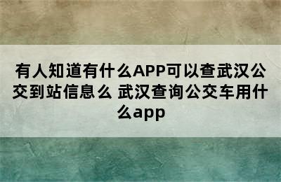 有人知道有什么APP可以查武汉公交到站信息么 武汉查询公交车用什么app